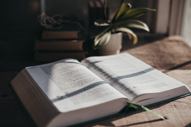 an open bible on a table with a plant and sunlight shining on it